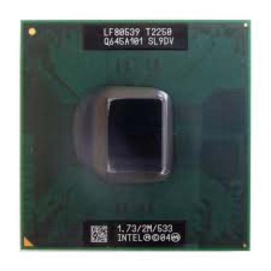 SL9DV (Intel Core Duo T2250)