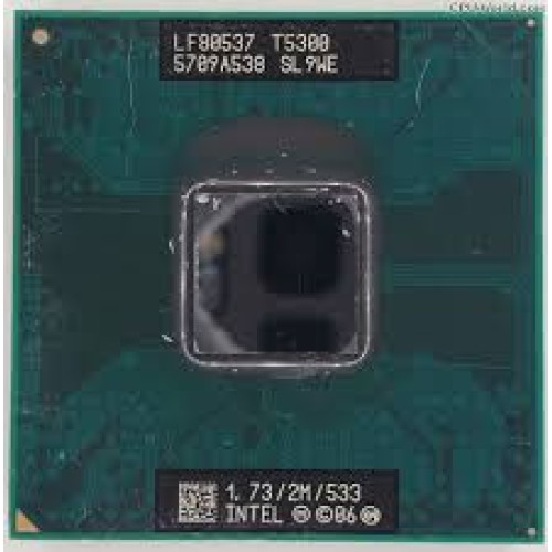 SL9WE (Intel Core 2 Duo T5300)