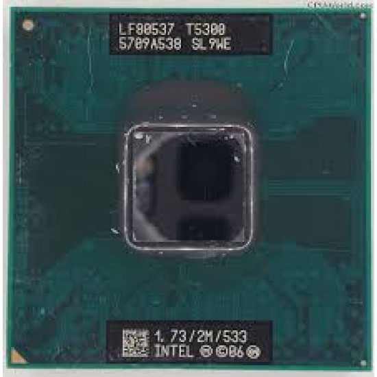 SL9WE (Intel Core 2 Duo T5300)